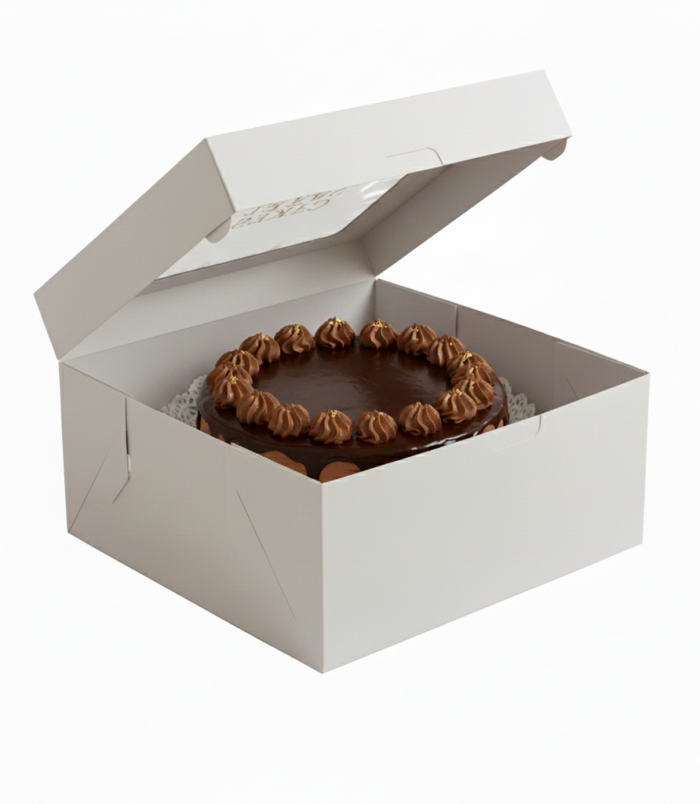 no direction Cake box open box with window white BG
